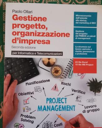 Gestione progetto, organizzazione d impresa