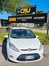 ford-fiesta-1-4-tdci-70cv-3-porte-ok-neopatentati