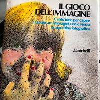 Il gioco dell’immagine - Zanichelli