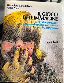 Il gioco dell’immagine - Zanichelli
