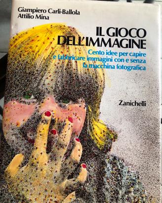 Il gioco dell’immagine - Zanichelli