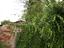 Immagine 19