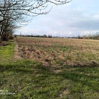 Terreno agricolo