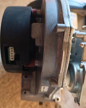 Scambiatore caldaia condensazione Vaillant 