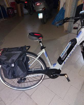bicicletta elettrica 