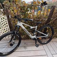 Amflow PL pro Carbon 800 Taglia L