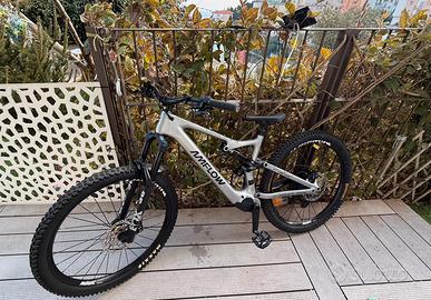 Amflow PL pro Carbon 800 Taglia L