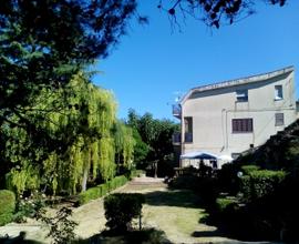 Schiera di testa - Pergusa -