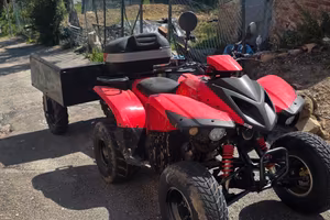quad adly 300 