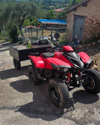quad adly 300 