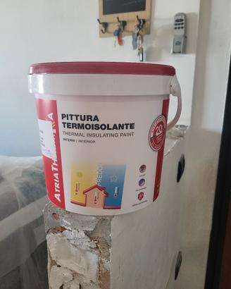 pittura murale termica