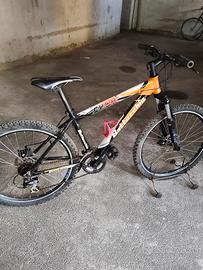 MTB bottecchia 26