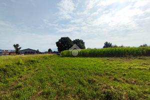 TER. AGRICOLO A MANERBA DEL GARDA
