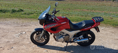 Yamaha TDM 850