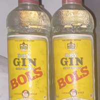 2 BOTTIGLIE GIN LUCAS BOLS SILVER TOP ANNI 70