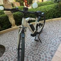 Bici elettrica