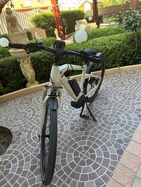 Bici elettrica