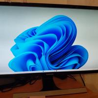 PC fisso DELL con monitor 28