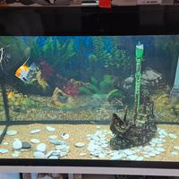 acquario akoll 130 litri