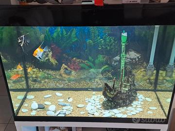 acquario akoll 130 litri