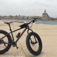 Haibike fatcurve fatbike fat bike