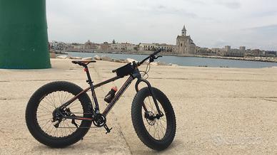 Haibike fatcurve fatbike fat bike