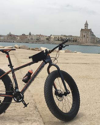 Haibike fatcurve fatbike fat bike