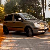 Panda 169 Natural Power 2010 1.2