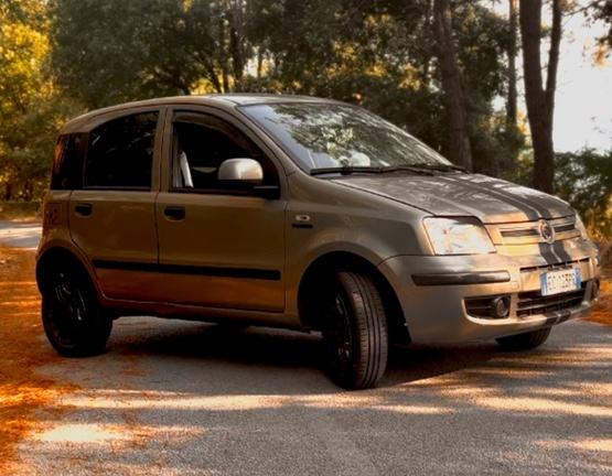 Panda 169 Natural Power 2010 1.2