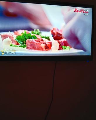 tv 32 pollici QBELL