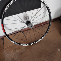 Cerchi mtb