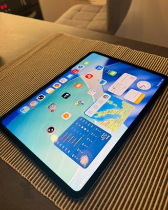 Ipad pro m4 11 pollici
