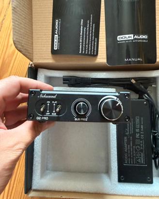 Amplificatore Hi-Fi Douk Audio G2 Pro