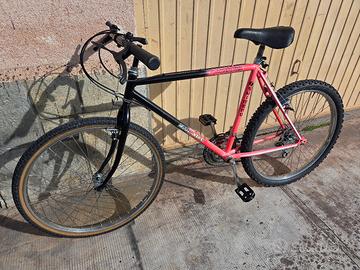 mtb 26 pollici 18 velocità