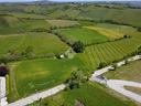 ter-agricolo-a-rimini