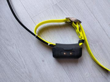 collare GPS Garmin 