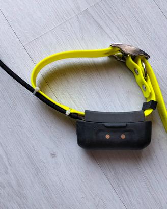 collare GPS Garmin 
