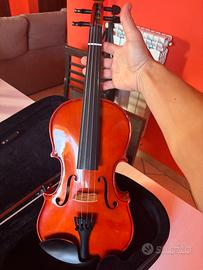 Violino