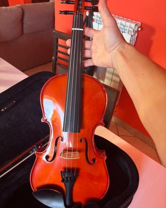 Violino