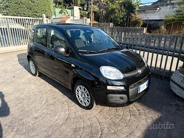Fiat Panda 1.0 FireFly S&S Hybrid Icon