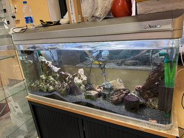 Acquario 300 lt