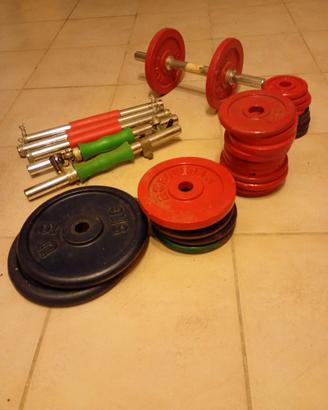 manubri e pesi in ghisa per allenamento