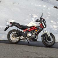 Benelli BN 302 abs 2018
