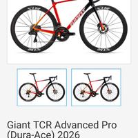 Bici Giant tcr