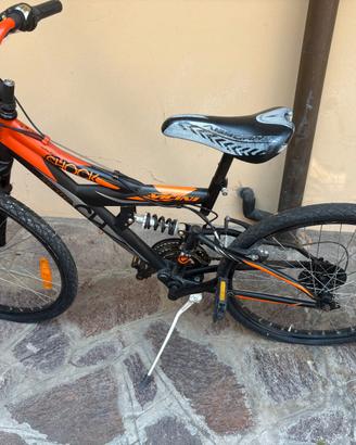 Bicicletta da ragazzino