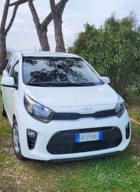 Kia picanto urban