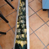 Albero di natale fibre ottiche