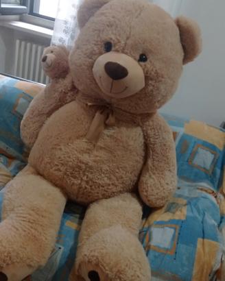peluche orso Gigante 