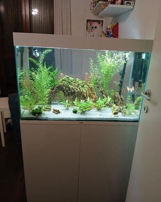 acquario Askoll Ciano 80 + mobile