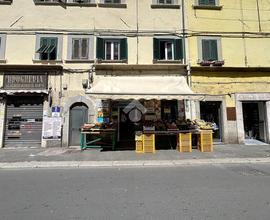 ATTIVITÀ A LIVORNO